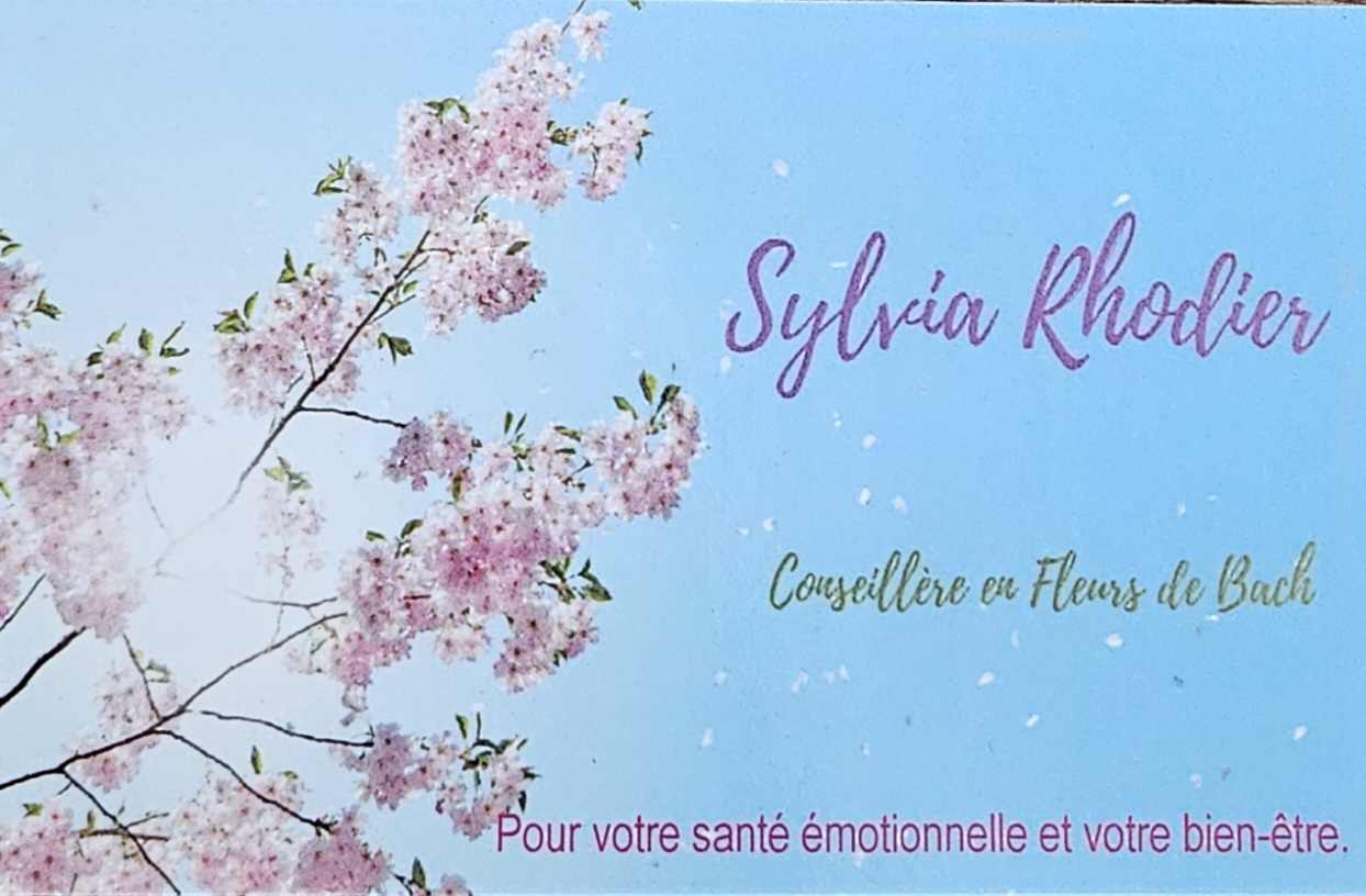 Bulle de Bien-Etre 77 Soins énergétiques magnétisme et LaHoChi, Fleurs de Bach · Photos 3